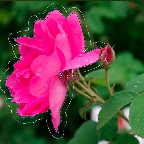 Corel AfterShot Pro 3 (Windows) Lifetime Cd Key Global